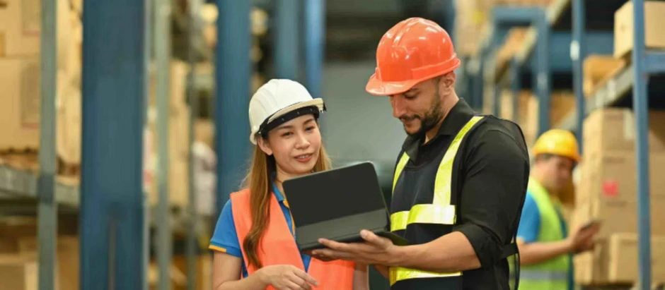 Global EHS Audit Strategies for Multinational Organisations